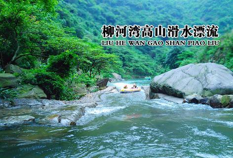 从政还是从商游戏画面